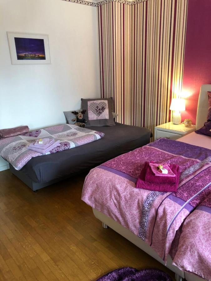 Haus Zissi Villa Burg Reuland Dış mekan fotoğraf